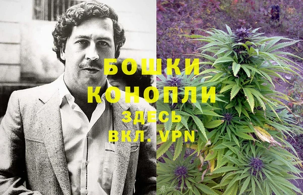 spice Абинск