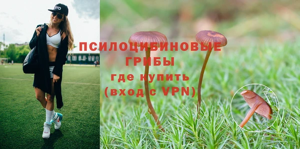 spice Абинск