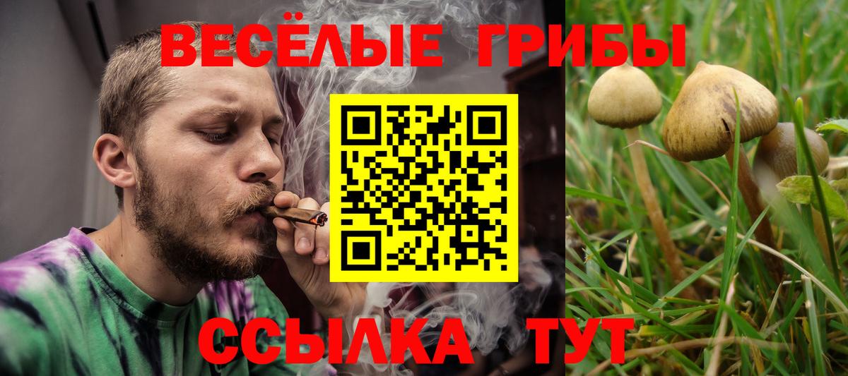 Абинск  Галлюциногенные грибы Cubensis  дарнет шоп  Вход с VPN 